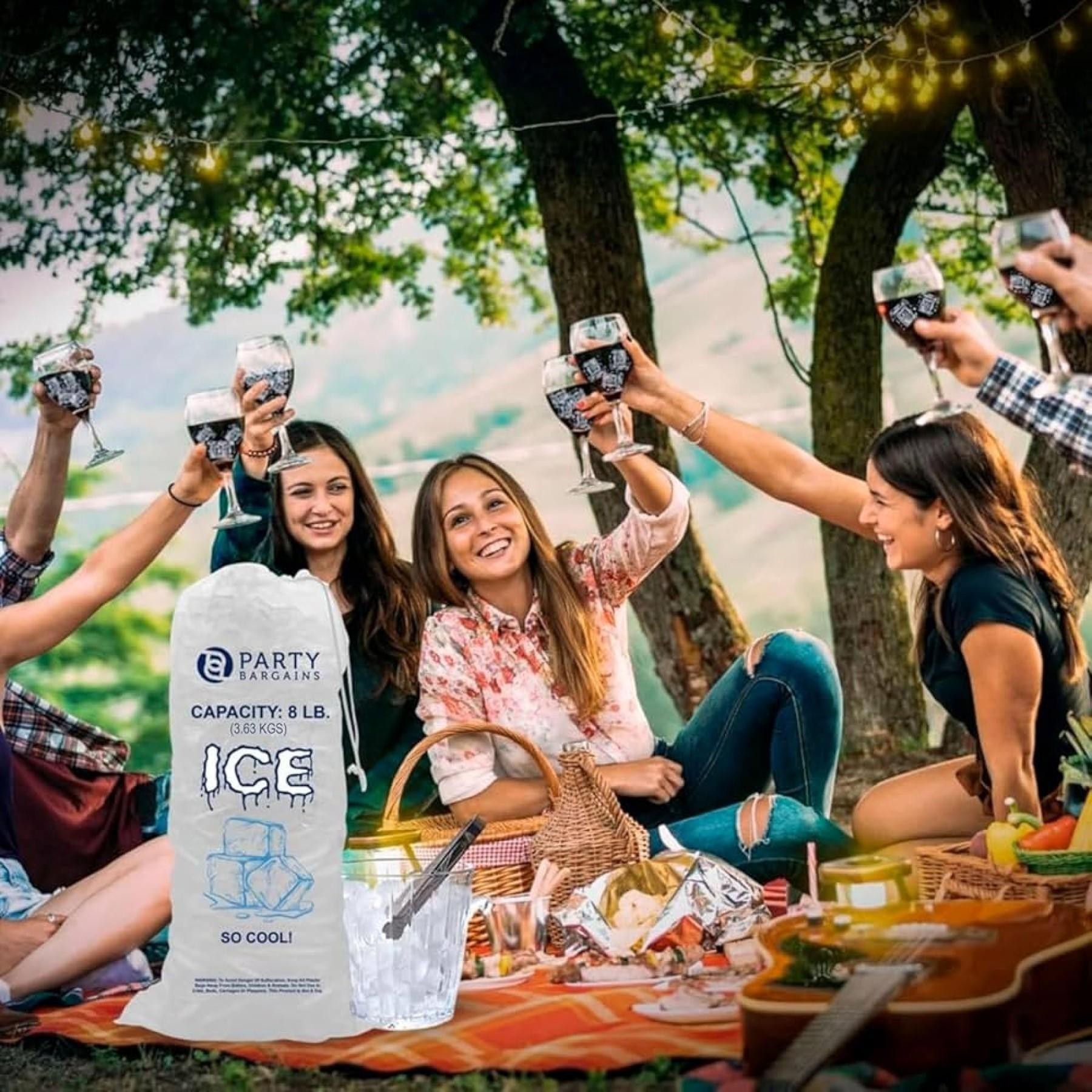 Ice Processing and distribution business with Freehold, & extensive Plant & Equipment included