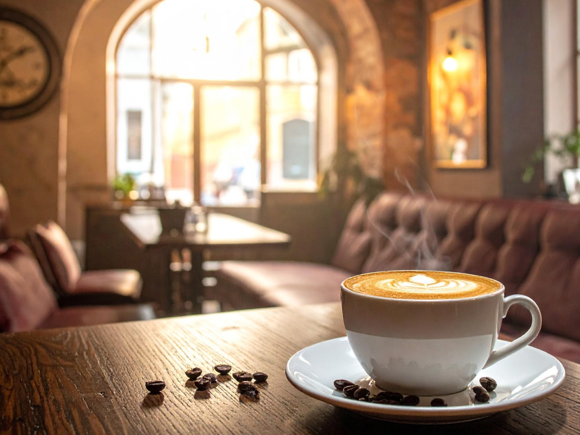 Highly Regarded cafe for sale in the inner west | MAS202