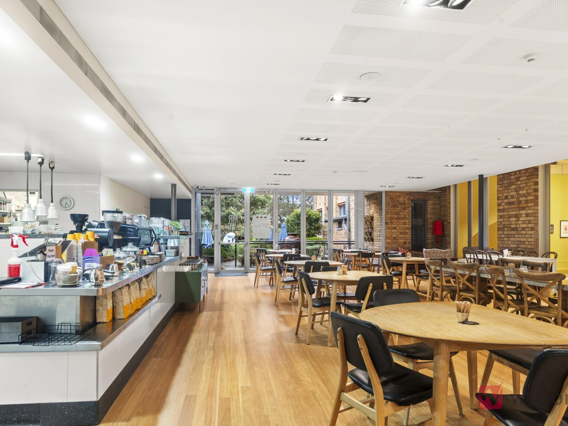 Iconic maitland Cafe - operated Under management